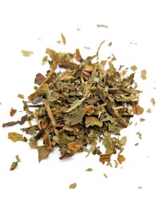 Diente de León (Hoja cortada)