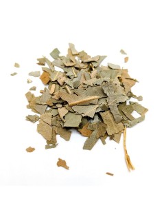 Eucalipto (Hoja Cortada)