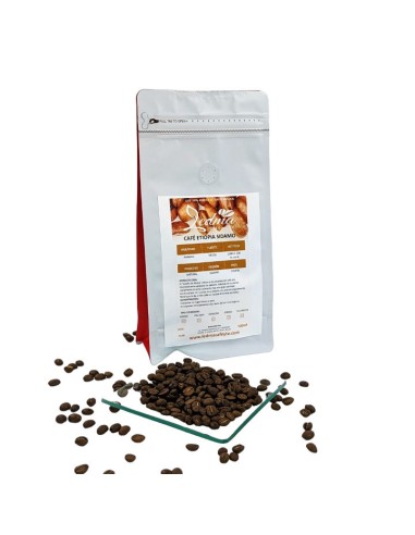 Café Etiopia Sidamo "Sueños de África"
