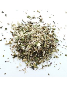 Equinacea hoja cortada